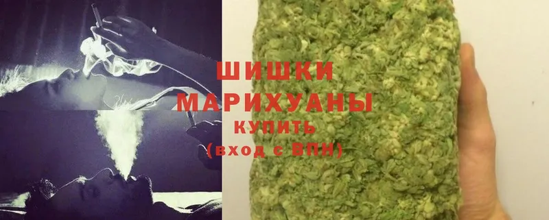 купить   Буй  Канабис конопля 